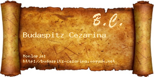 Budaspitz Cezarina névjegykártya